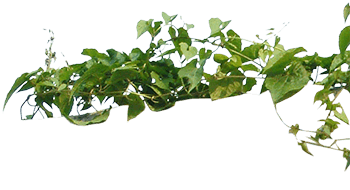 AzulRE | Azul Real Estate