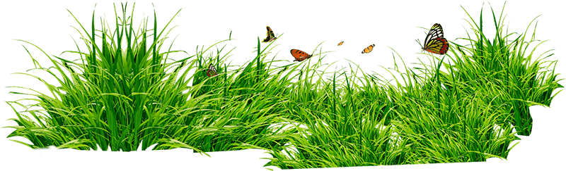 AzulRE | Azul Real Estate