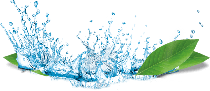 AzulRE | Azul Real Estate